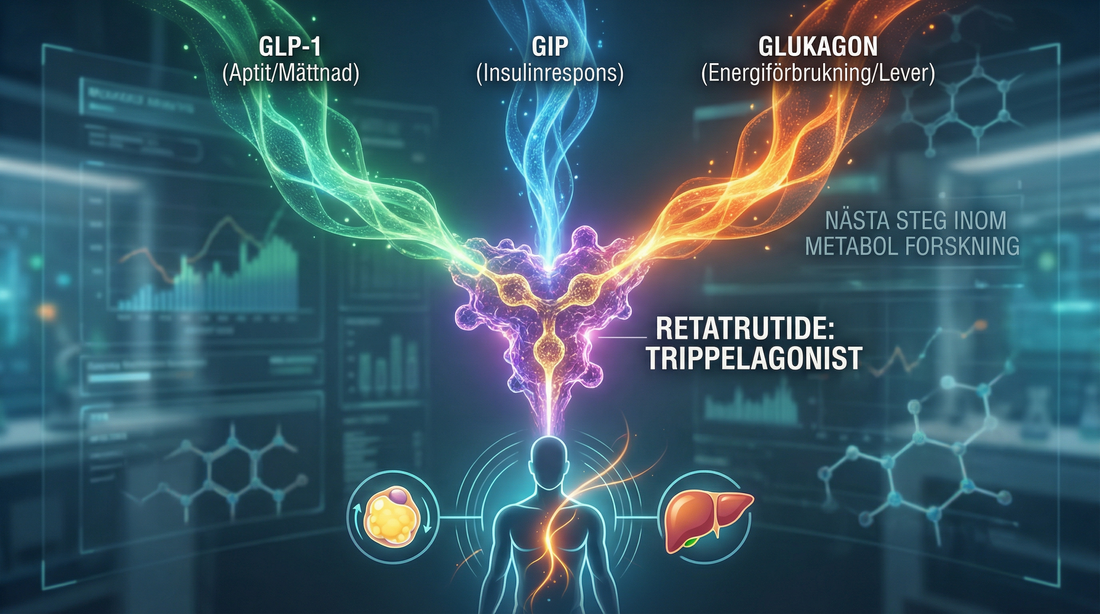 Retatrutide Sverige – GLP-1/GIP/glukagon trippelagonist för metabol forskning